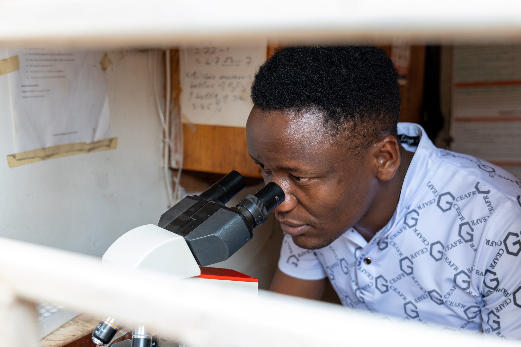 A pharmacist in a community pharmacy holding a malaria rapid diagnostic test